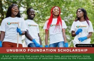 Unubiko Foundation Scholarship 